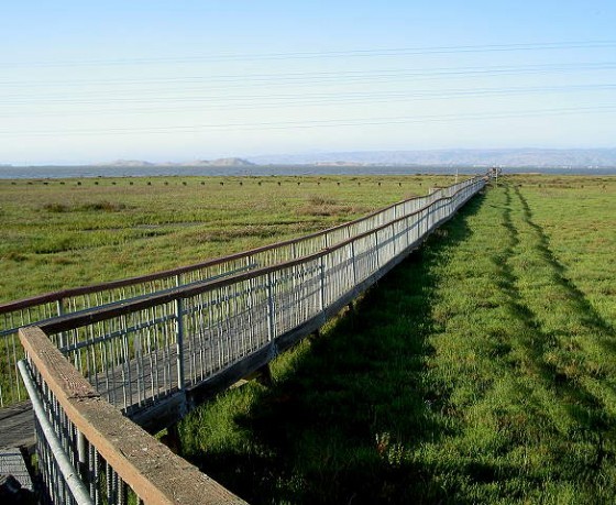 Palo Alto Baylands Nature Preserve Boardwalk